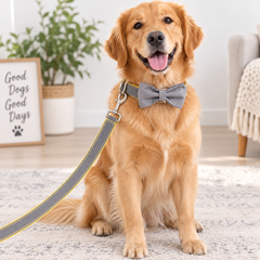Velvet Dog Leash Set with Collar & Bow Tie | XS–XL