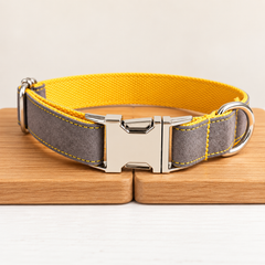 Velvet Dog Leash Set with Collar & Bow Tie | XS–XL