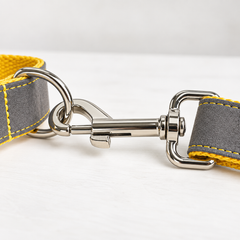 Velvet Dog Leash Set with Collar & Bow Tie | XS–XL