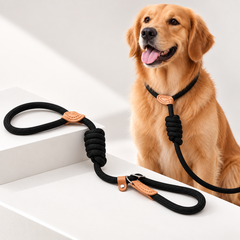Nylon Slip Lead Dog Leash | 1.3m Training Lead | 5 Thickness Options