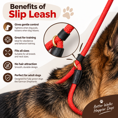 Nylon Slip Lead Dog Leash | 1.3m Training Lead | 5 Thickness Options