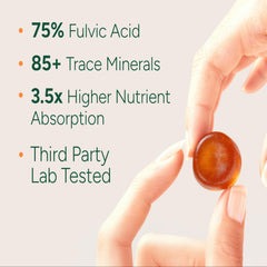 Seaweed Soft Candy 60 Tablets