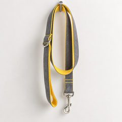 Velvet Dog Leash Set with Collar & Bow Tie | XS–XL