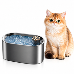3L Pet Water Fountain with LED & Triple Filter