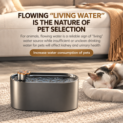 3L Pet Water Fountain with LED & Triple Filter