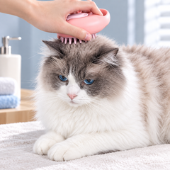 Durable Cat Paw Bath Brush Fine Foaming Labor-saving Cartoon Shape Pet Dog Cat Pet Hair Grooming Brush Reusable Dog Hair Comb Pet Products
