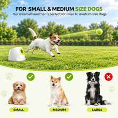 Automatic Dog Ball Launcher | 3 Launch Distances | ABS | US/UK/EU/AU Plug