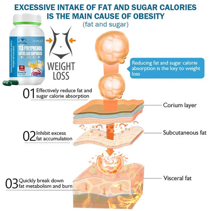 Belly Fat Burner for Women